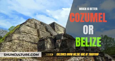 Cozumel or Belize: Which Caribbean Paradise is Best?