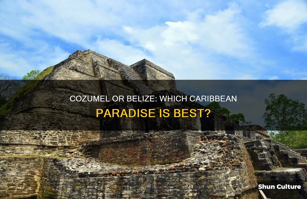 which is better cozumel or belize