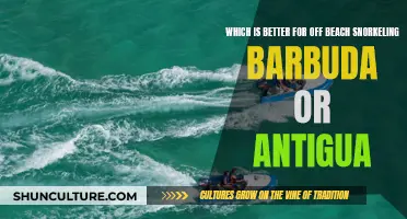 Snorkeling in Antigua and Barbuda: A Comparison