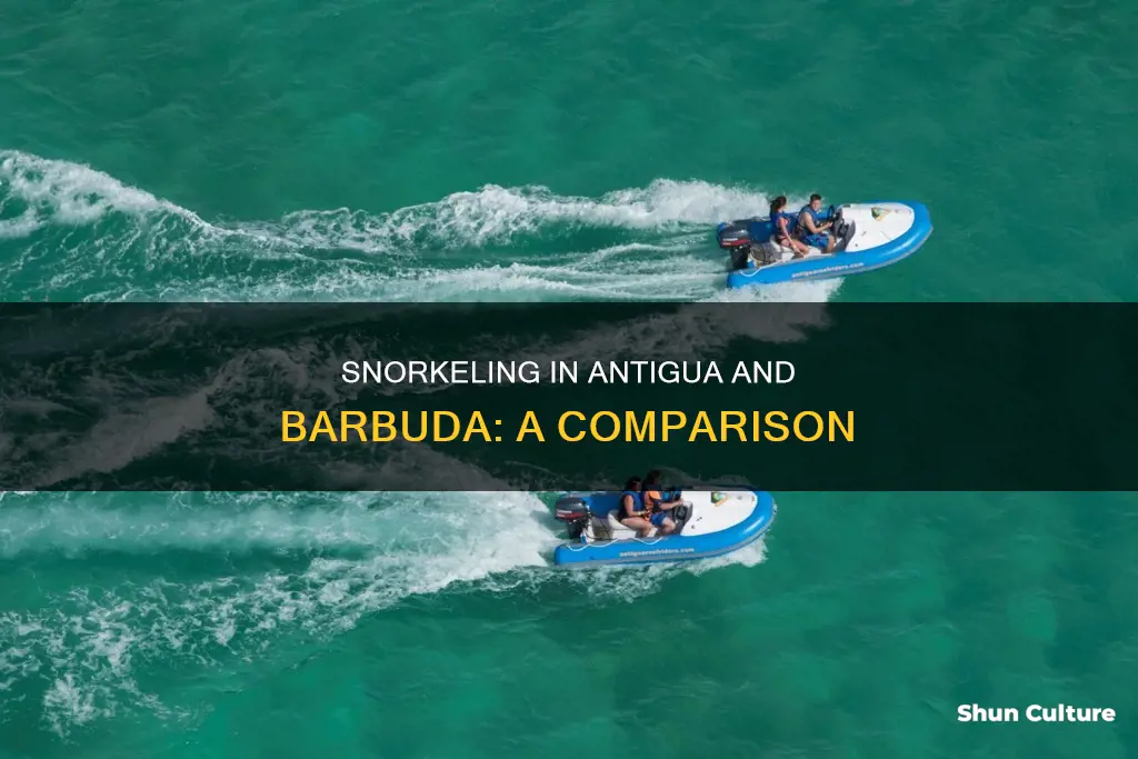 which is better for off beach snorkeling barbuda or antigua