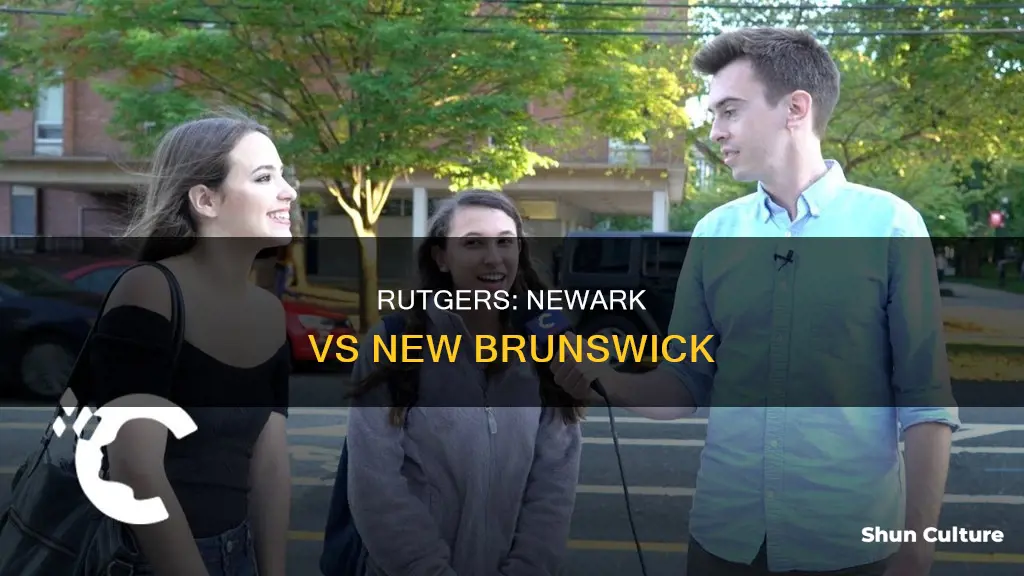 which is better rutgers newark or new brunswick