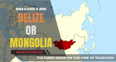 Japan: Belize or Mongolia, Which Is Closer?