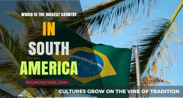 Exploring South America's Largest Nation: A Comprehensive Guide