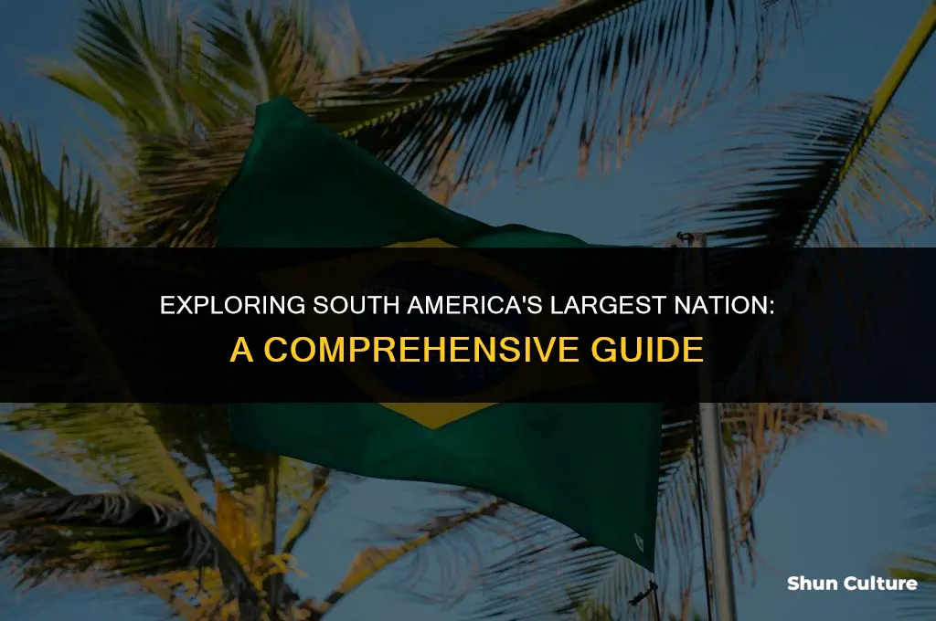 which is the biggest country in south america