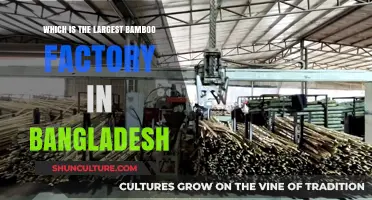 Discovering Bangladesh's Largest Bamboo Factory: A Comprehensive Guide