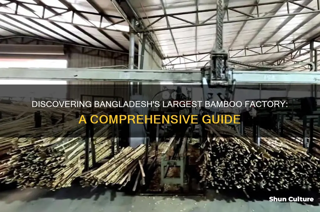 which is the largest bamboo factory in bangladesh