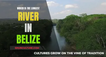 Belize's Longest River: Exploring the Mighty Macal