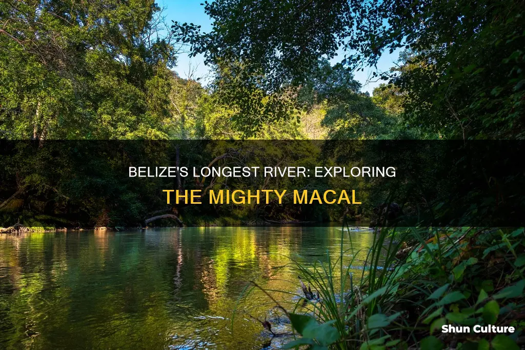 which is the longest river in belize