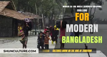 Bangladesh's Critical Struggle: Navigating Climate Crisis, Poverty, and Political Instability