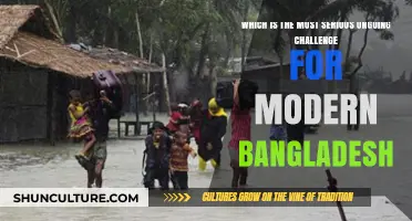 Bangladesh's Critical Struggle: Navigating Climate Change, Poverty, and Political Instability