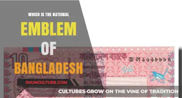 The Majestic Symbol: Bangladesh's National Emblem Explained