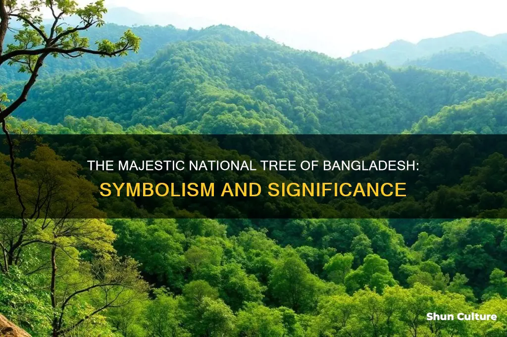 which is the national tree of bangladesh