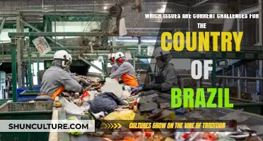 Brazil's Current Struggles: Economy, Environment, and Social Inequality Challenges