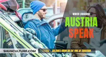 Austria's Official Language: German, and its Unique Dialects