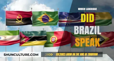 Brazil's Official Language: Unraveling the Portuguese Legacy and Cultural Influence
