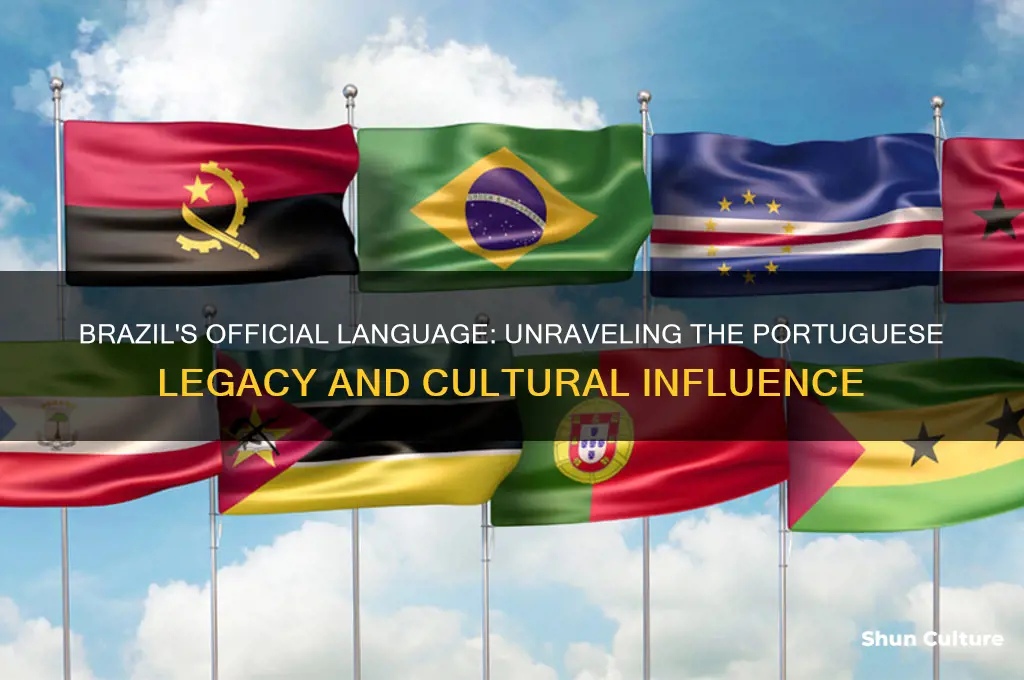 which language did brazil speak