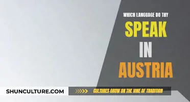 The Language of Austria: A Unique Tongue
