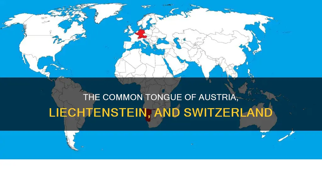 which language is commonly spoken in austria liechtenstein and switzerland