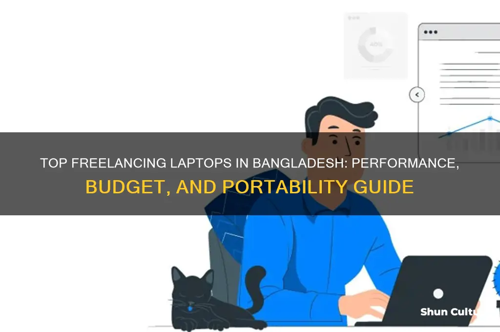 which laptop is best for freelancing in bangladesh