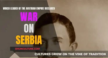 Who Started It All: Austria-Hungary's Fateful Decision