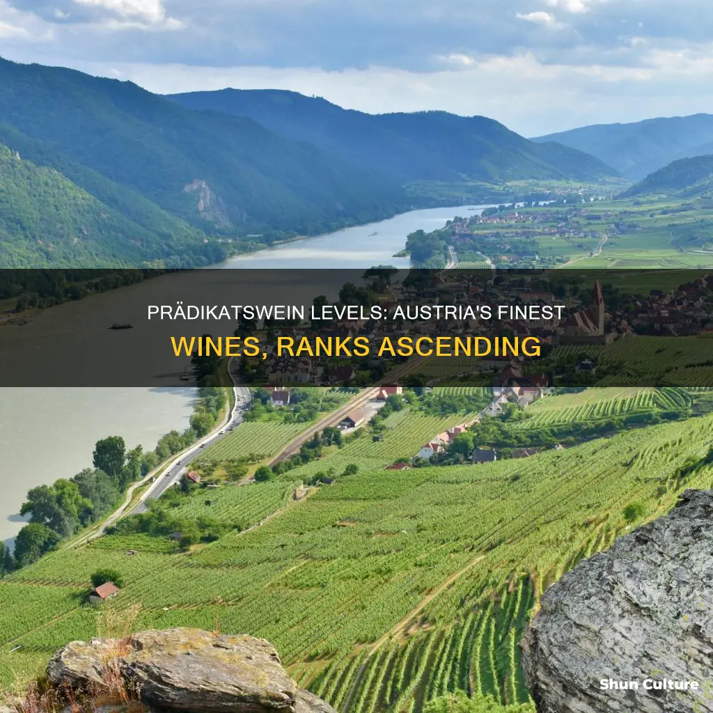 which lists austrian prädikatswein levels in increasing order by