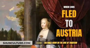 The Escape of Louis to Austria