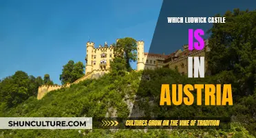 Unveiling the Mystery: Austria's Ludwick Castle