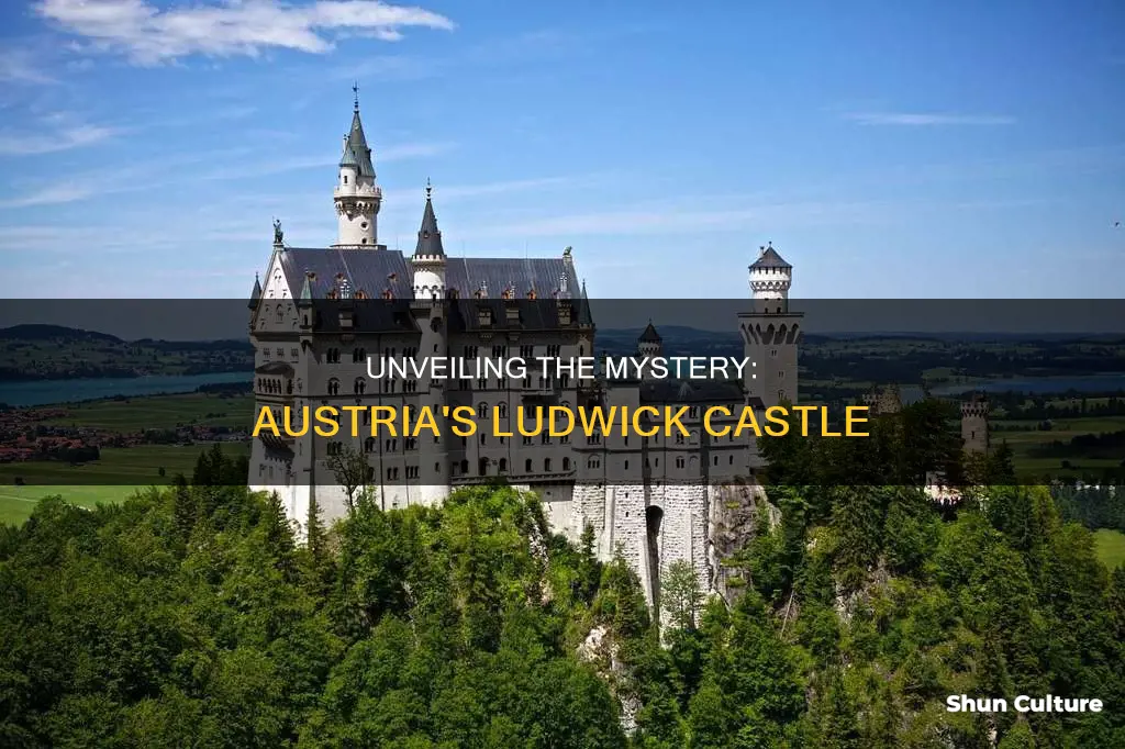 which ludwick castle is in austria