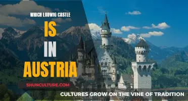 Uncover the Hidden: Austria's Ludwig Castle Mystery