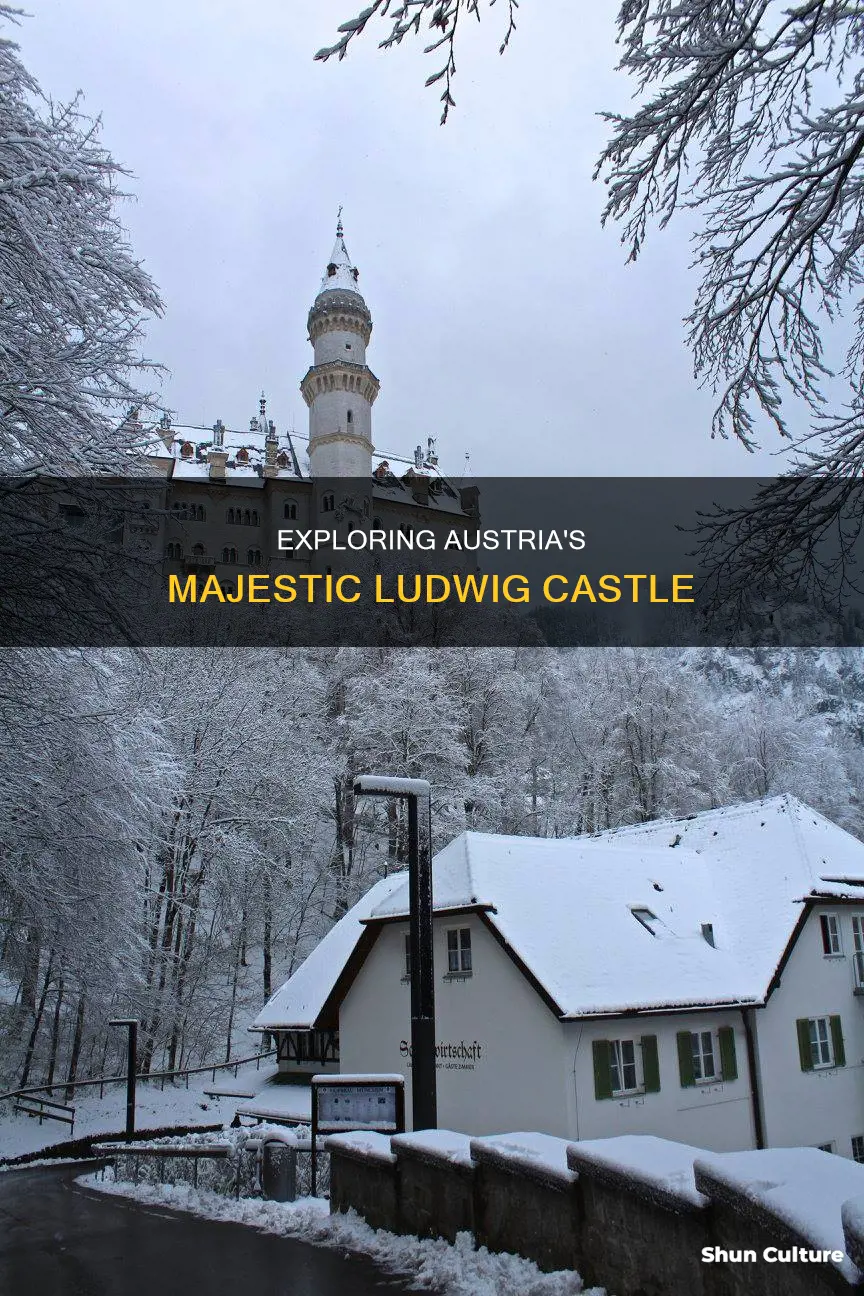 which ludwig castle is in austria