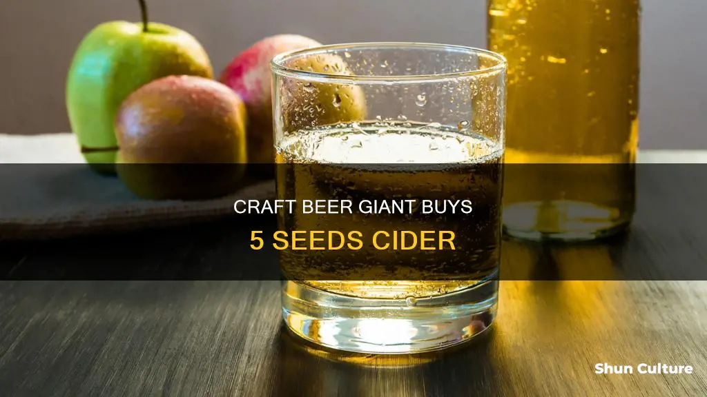 which major australian brewery owns 5 seeds cider