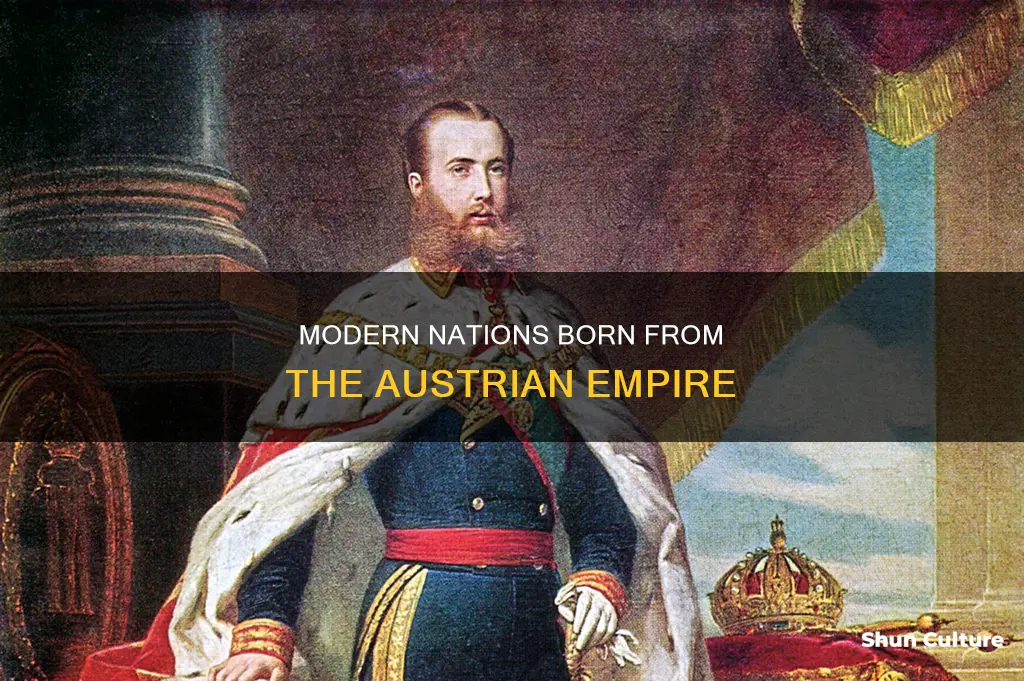 which modern countries have been formed from the austrian empire
