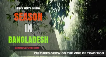 When Does Bangladesh's Rainy Season Begin? A Monthly Guide