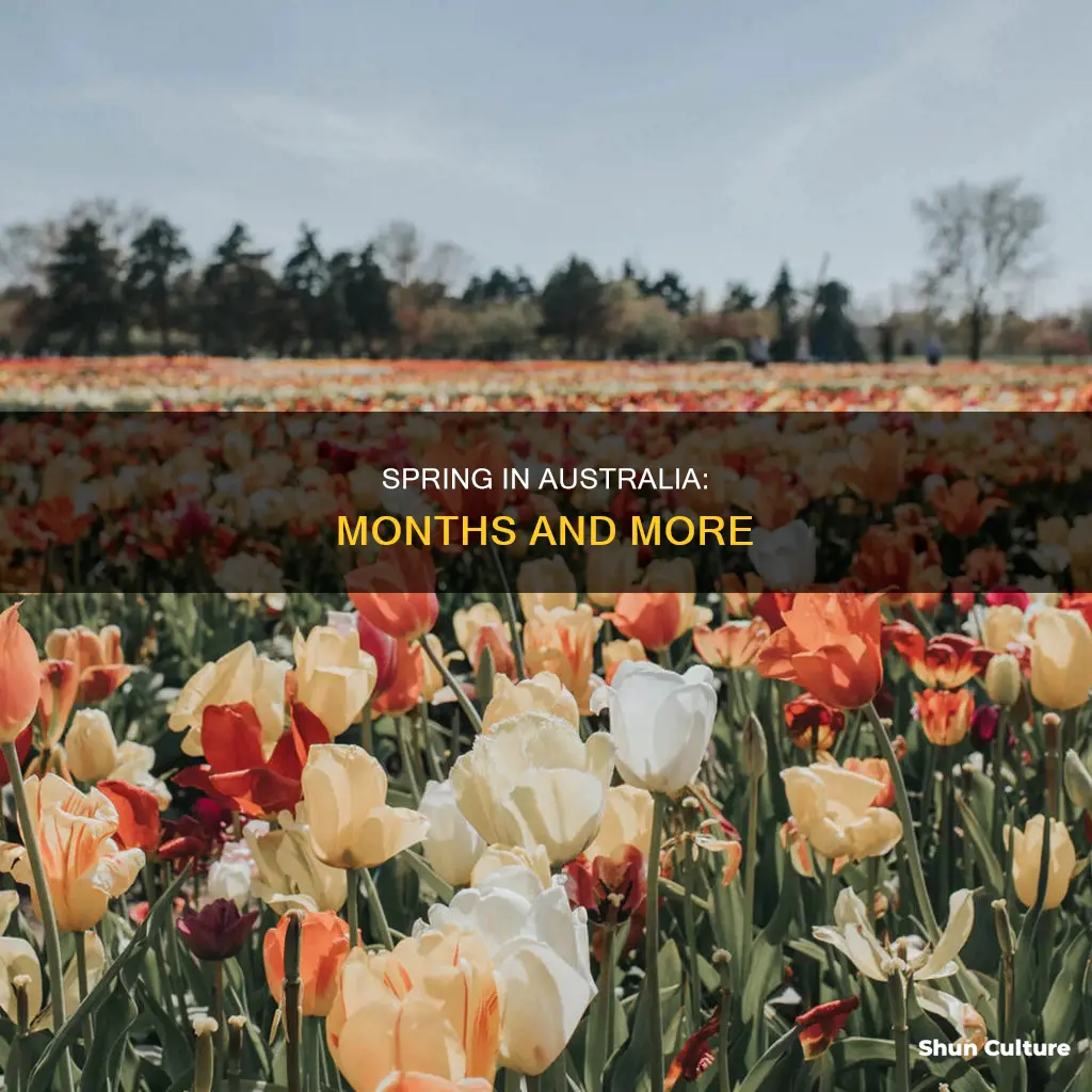 which months make up spring in australia