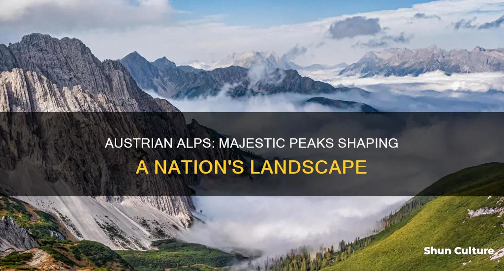 which mountain range forms most of the austrian landscape
