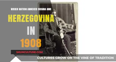 The 1908 Annexation of Bosnia and Herzegovina: Which Nation?