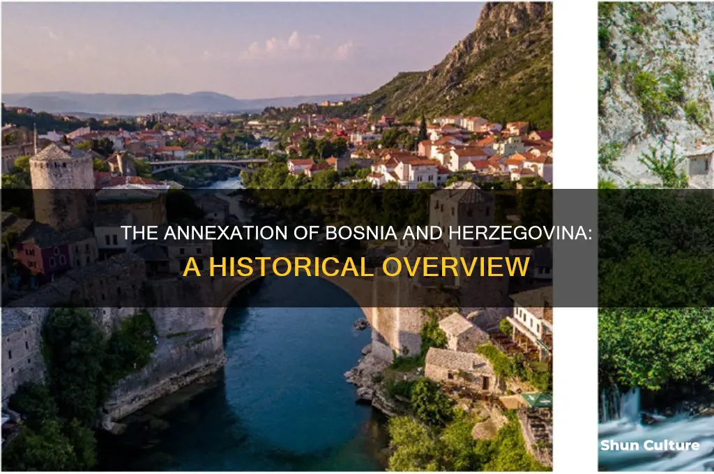 which nation annexed bosnia and herzegovina