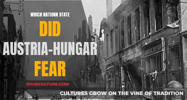 Austria-Hungary's Fear: A Powerful Neighbor's Threat