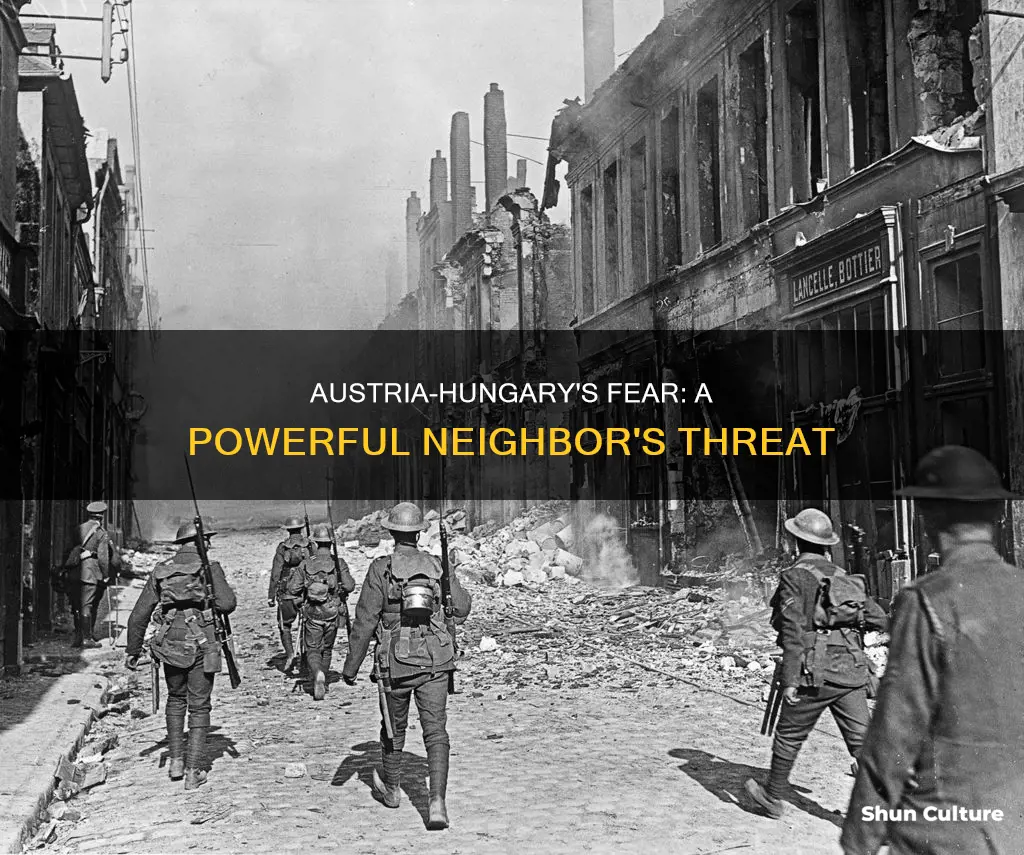 which nationn state did austria-hungary fear