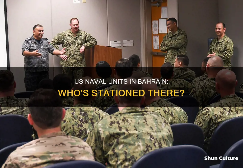 which naval units are stationed in bahrain