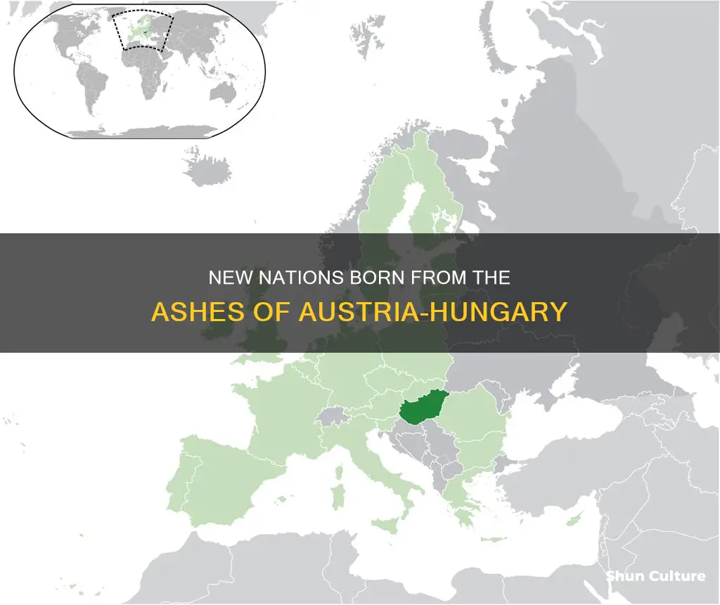 which new creations were created from the former austria hungaru