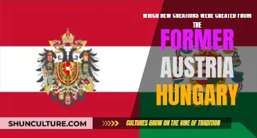 New Nations Born from the Ashes of Austria-Hungary