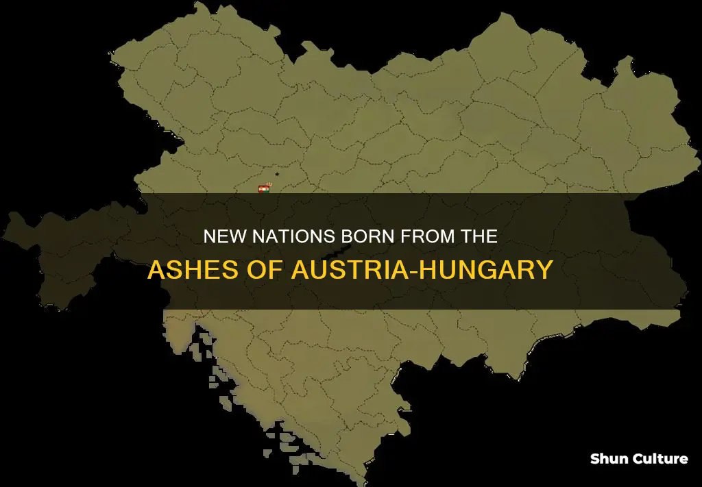 which new creations were created from the former austria hungary