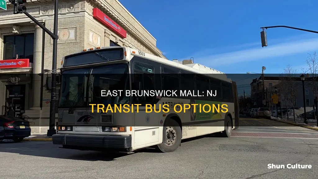 which nj transit bus goes to east brunswick mall