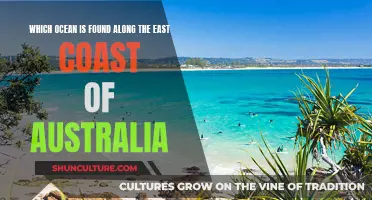 Exploring Australia's East Coast: The Ocean's Embrace