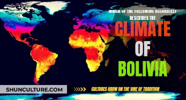 Bolivia's Climate: A Complex Diversity