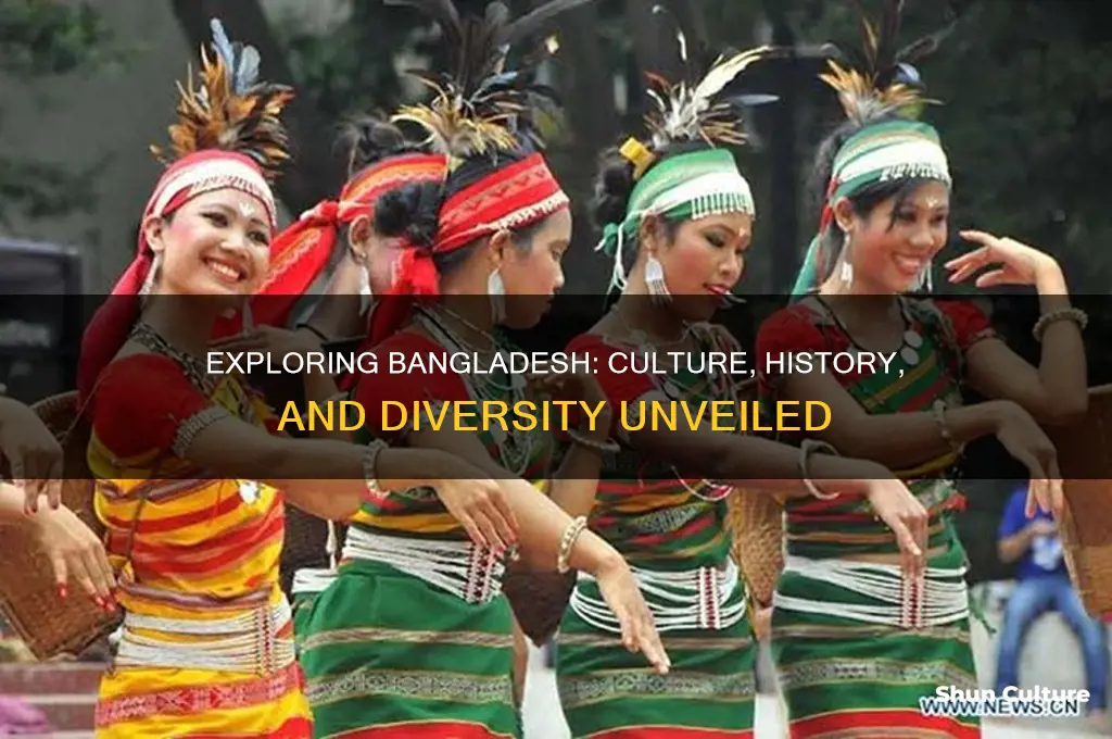 which of the following best describes bangladesh