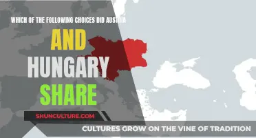 Common Denominators: Austria and Hungary's Shared Choices