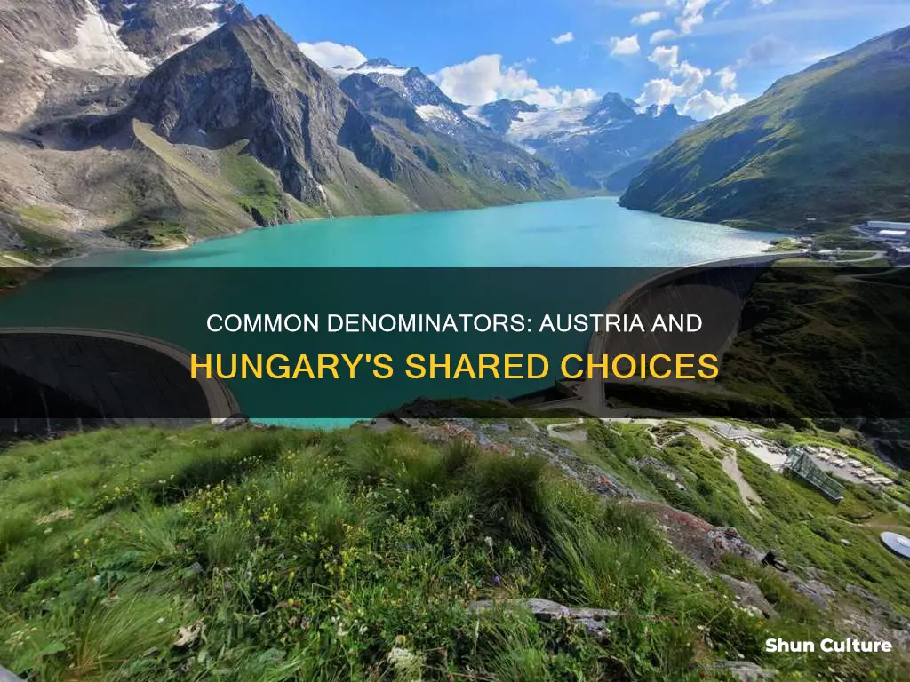 which of the following choices did austria and hungary share
