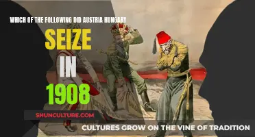 Austria-Hungary's 1908 Land Grab: What Was Taken?